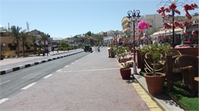 P1010610